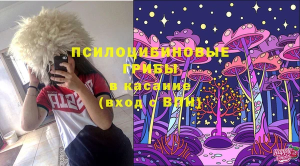 спайс Алексеевка