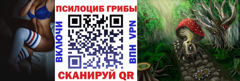 ссылка на мегу рабочий сайт  Тольятти  Псилоцибиновые грибы мицелий 
